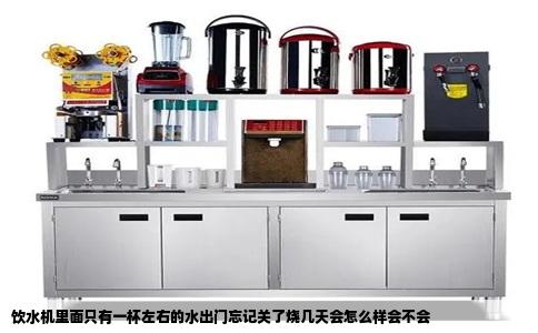 饮水机里面只有一杯左右的水出门忘记关了烧几天会怎么样会不会