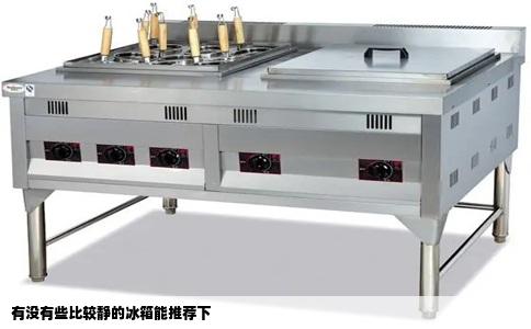 有没有些比较静的冰箱能推荐下