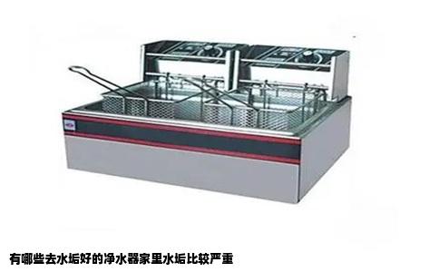 有哪些去水垢好的净水器家里水垢比较严重