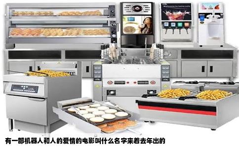 有一部机器人和人的爱情的电影叫什么名字来着去年出的