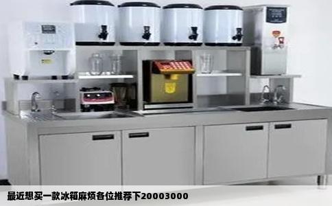 最近想买一款冰箱麻烦各位推荐下20003000