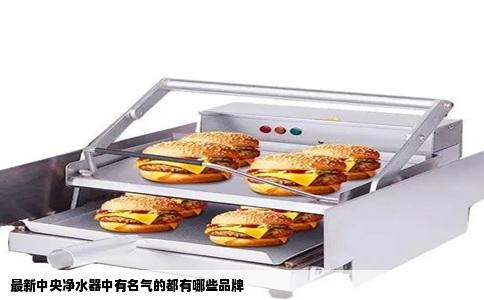 最新中央净水器中有名气的都有哪些品牌